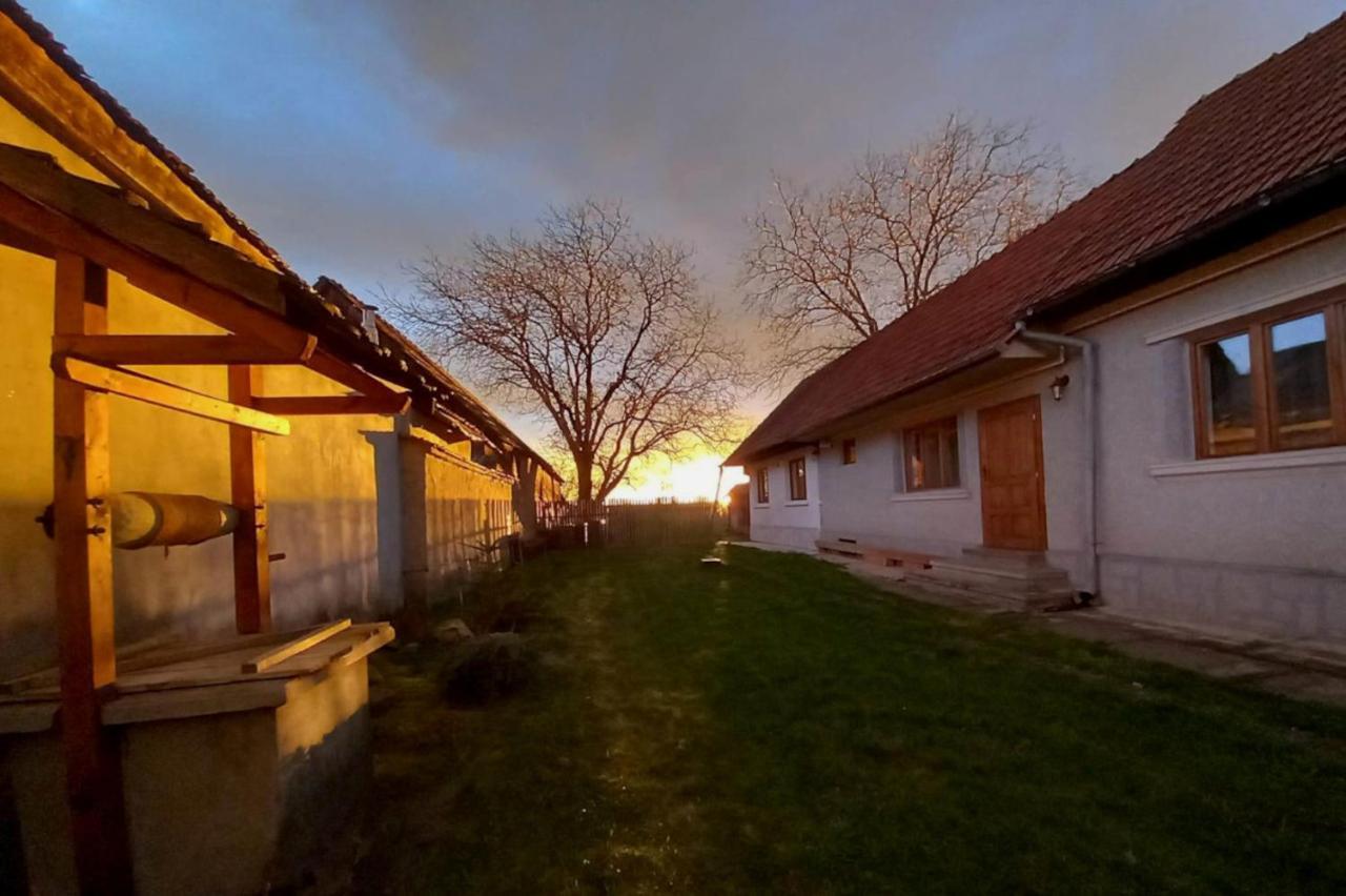 Penzion Galeria Turismului Montan Cîrţişoara Exteriér fotografie