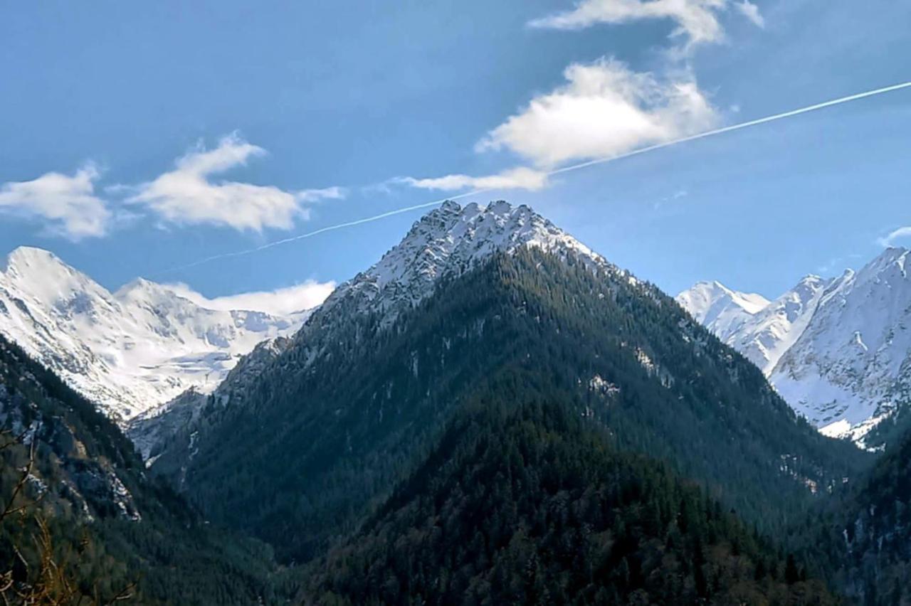 Penzion Galeria Turismului Montan Cîrţişoara Exteriér fotografie