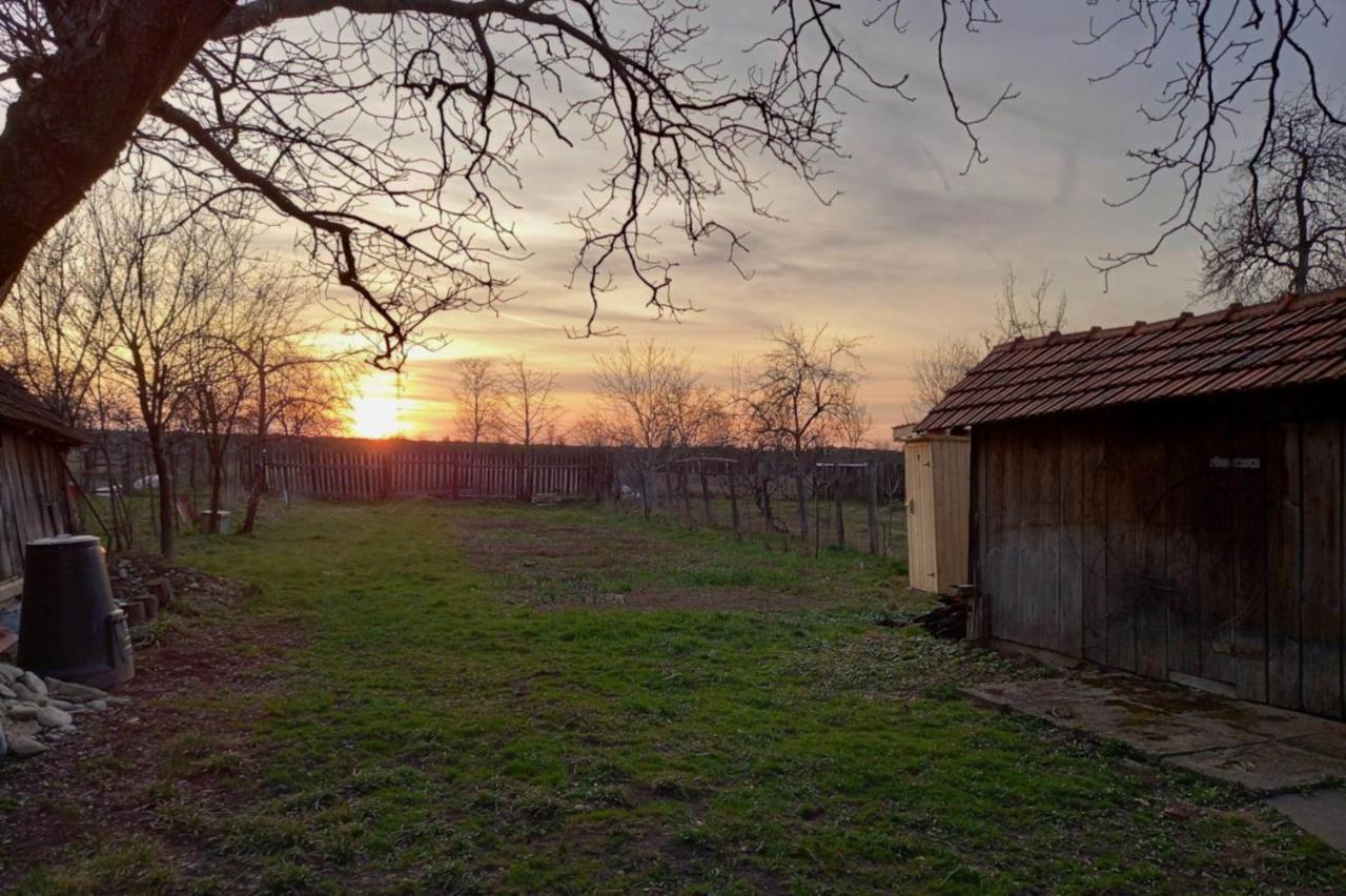 Penzion Galeria Turismului Montan Cîrţişoara Exteriér fotografie