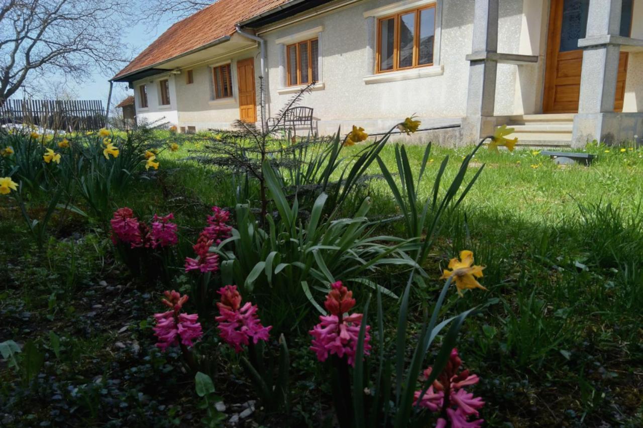 Penzion Galeria Turismului Montan Cîrţişoara Exteriér fotografie
