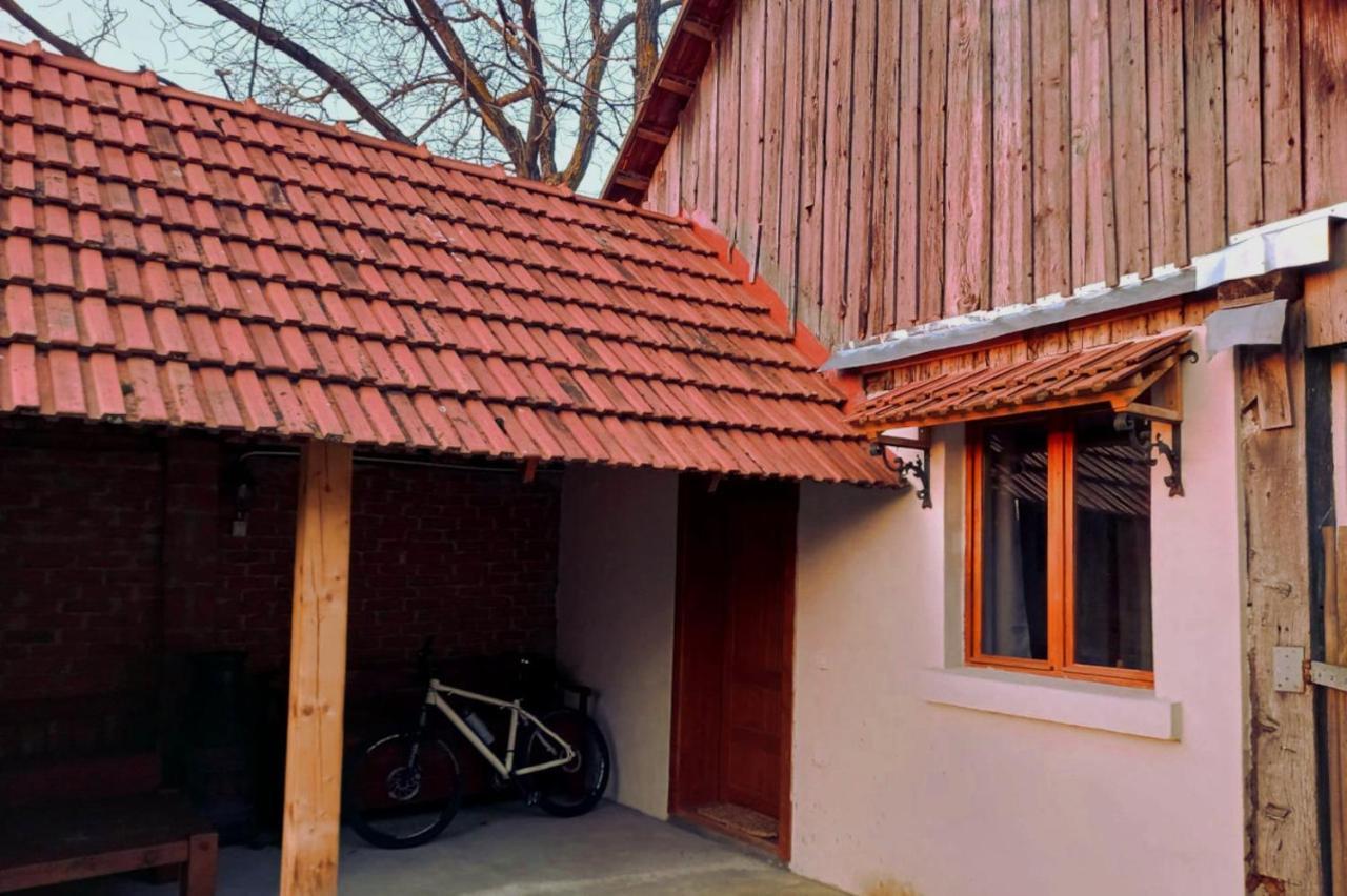 Penzion Galeria Turismului Montan Cîrţişoara Exteriér fotografie